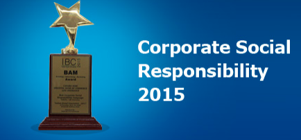 Indian Brand Convention 2015: BAM Awards