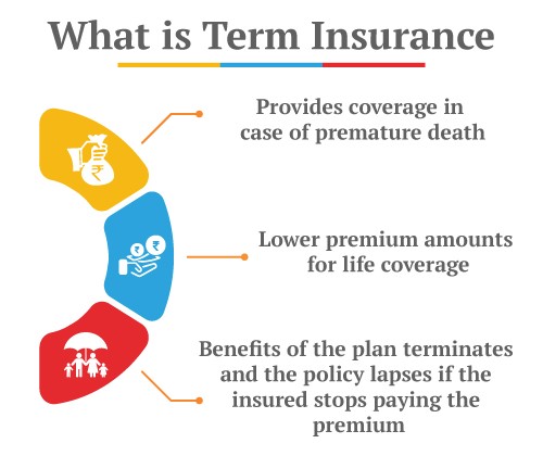 Definition of a Term Insurance Plan