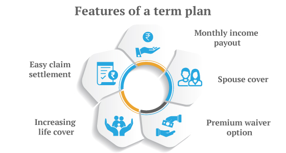 features-of-a-term-insurance-plans