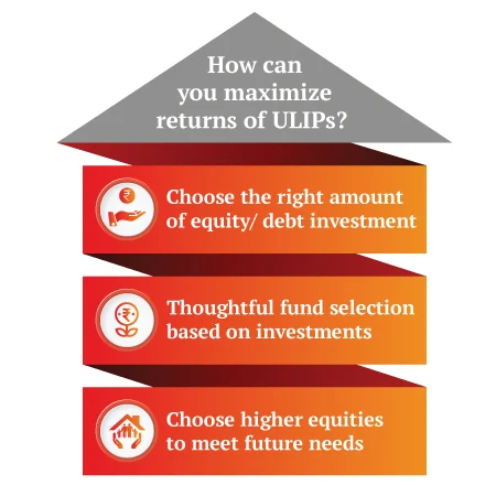 child higher education