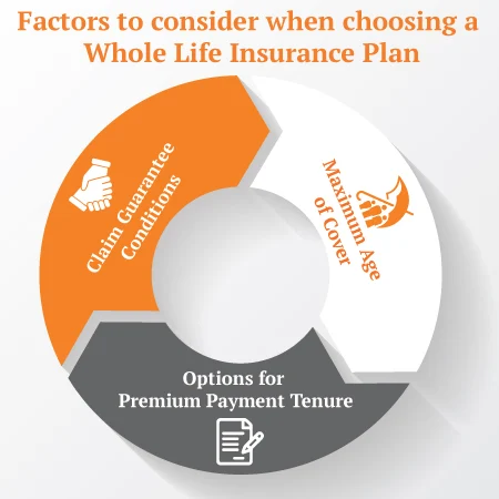 Whole Life Insurance Plans