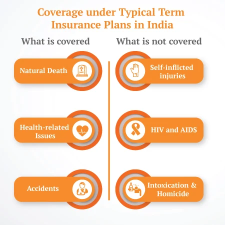 what is covere and Not-covered