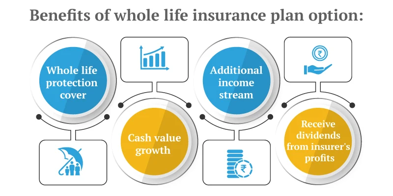 how to buy the best whole life plan?
