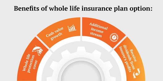 Benefit of Whole life Insurance plan option