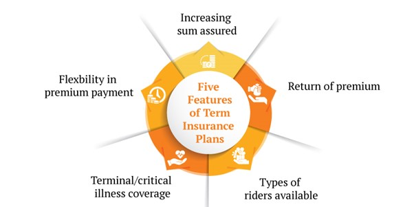 features of term insurance plan